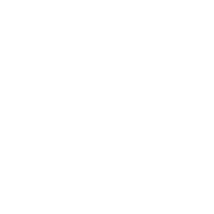 CEIDI